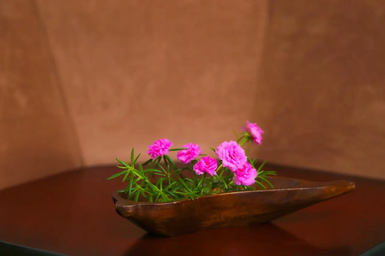 Silvereen Guesthouse Negombo